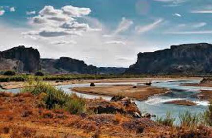 Mejores notarías en Chubut